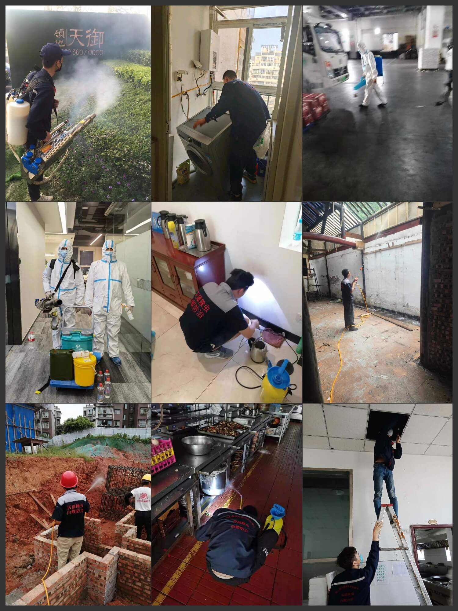仁寿家庭灭蚊蝇：清滋生地，学科学消杀