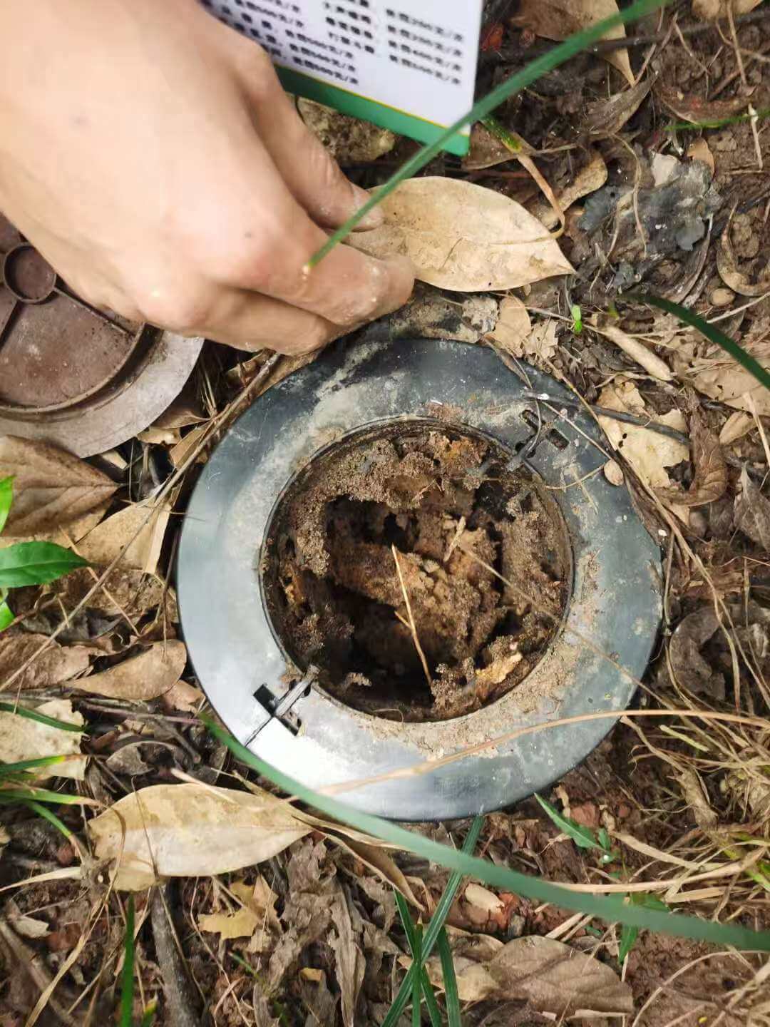 眉山东坡区白蚁防治｜商场仓库餐饮场所高效消杀方案