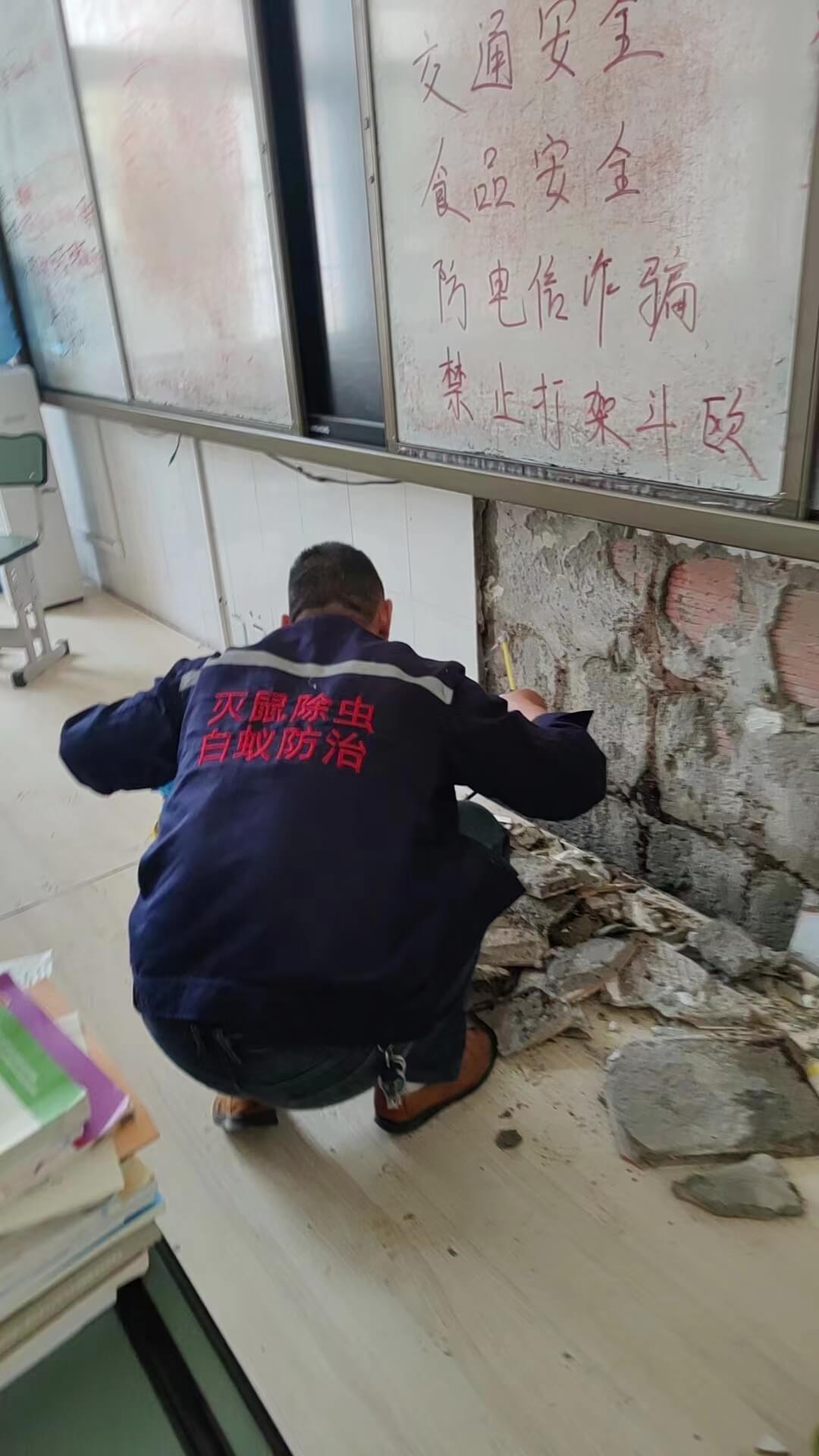 龙泉驿区除白蚁价格表