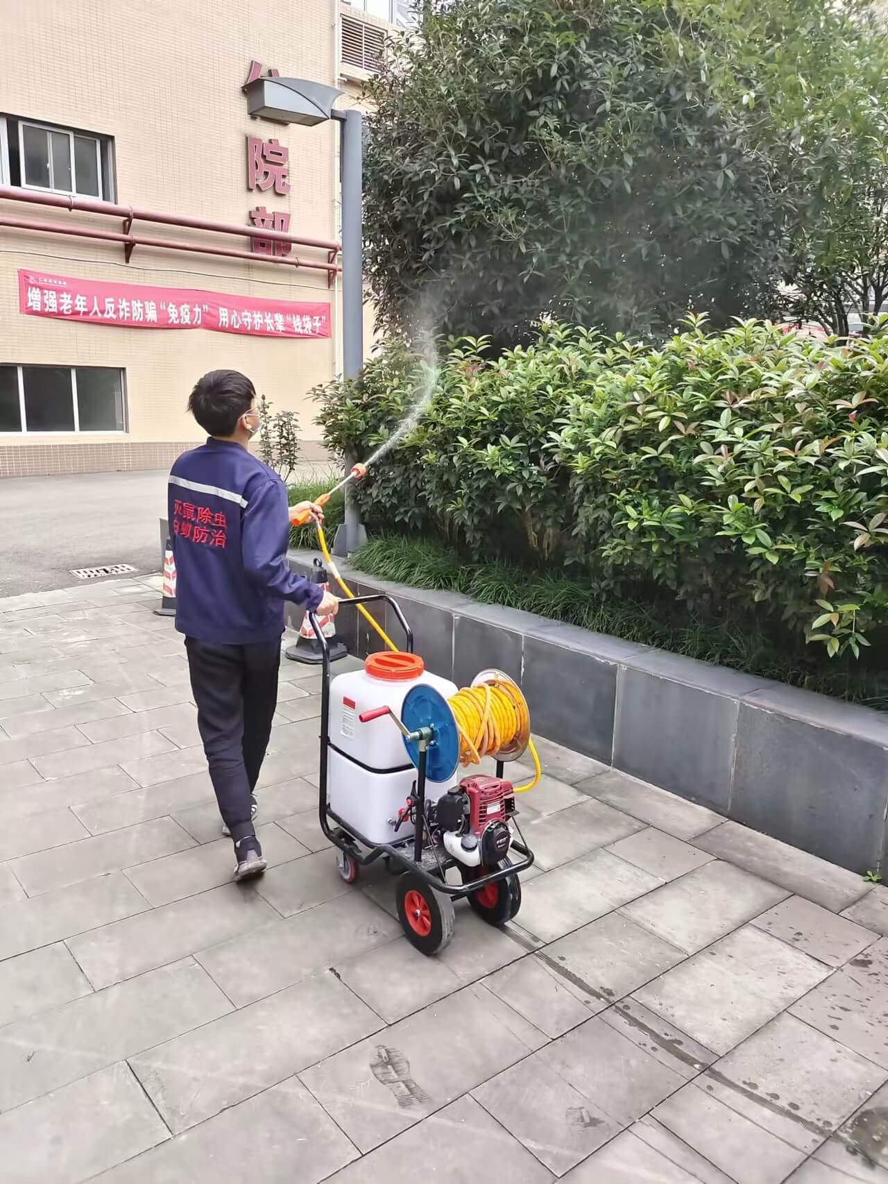 眉山仁寿县上门蚊虫消杀家庭商铺灭蚊虫收费透明